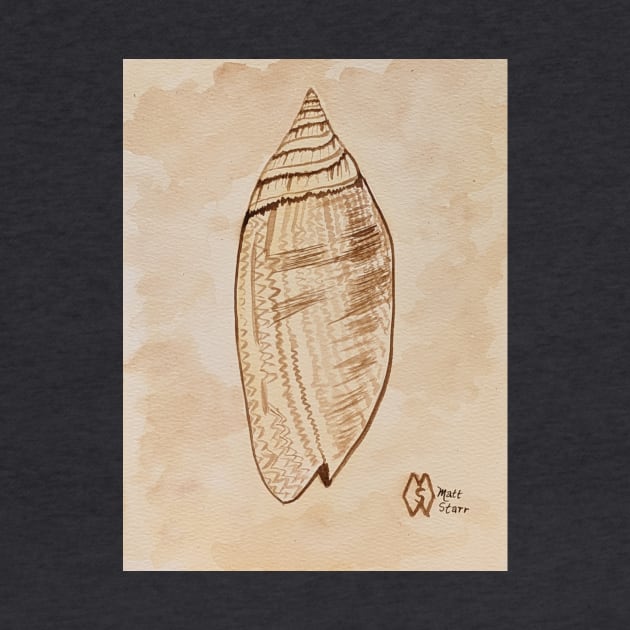 Lettered Olive Shell by Matt Starr Fine Art